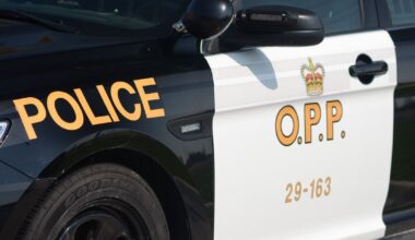 Hamilton highway collision: 1 dead, 6 injured