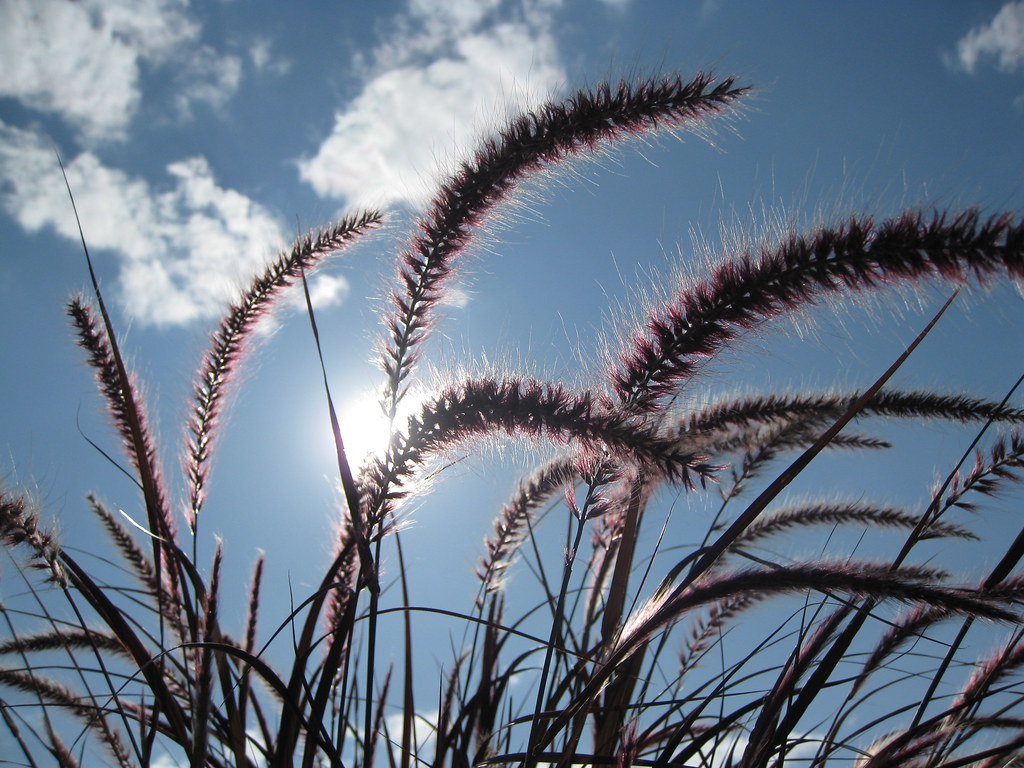 5 Signs Spring Is Finally Arriving in Winnipeg This Week