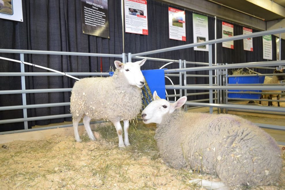 calgary things to do April