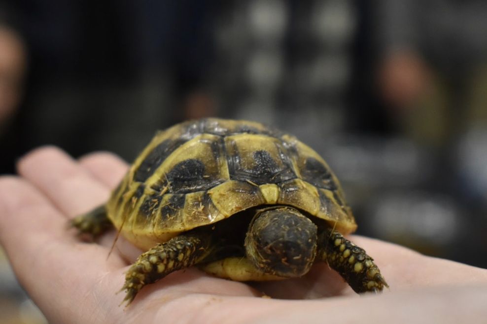 calgary things to do April