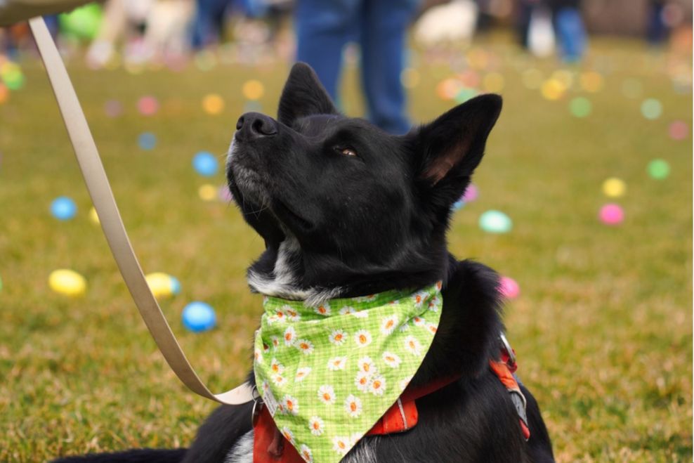 calgary things to do