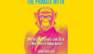 You’re Not a Monkey’s Uncle