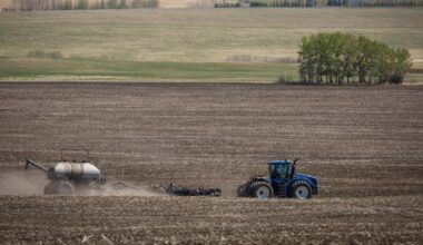 Grocery prices to spike with high fertilizer costs
