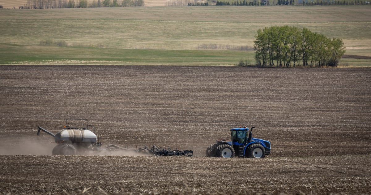 Grocery prices to spike with high fertilizer costs