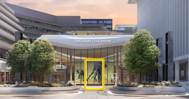 Modern building with "National Geographic" sign, large glass entrance, and a bright yellow rectangular frame in front. Two life-size elephant displays are visible inside; people stand on a balcony above the entrance.