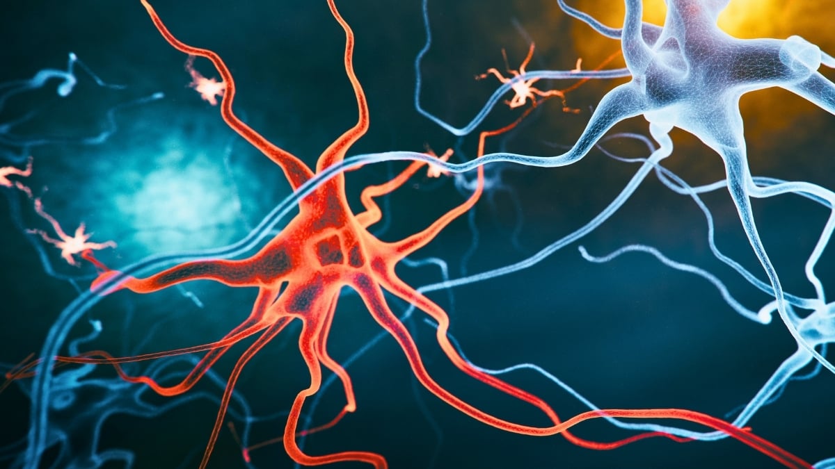 New Alzheimer's Treatment Strategy Reverses Cognitive Decline in Mice : ScienceAlert