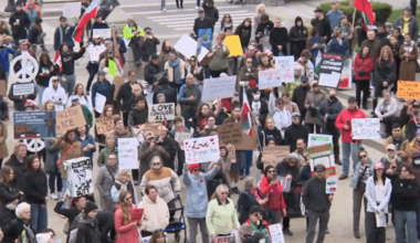 Hundreds of people gathered in Vancouver Saturday for a "No Tyrants" rally that participants are calling a march for democracy.