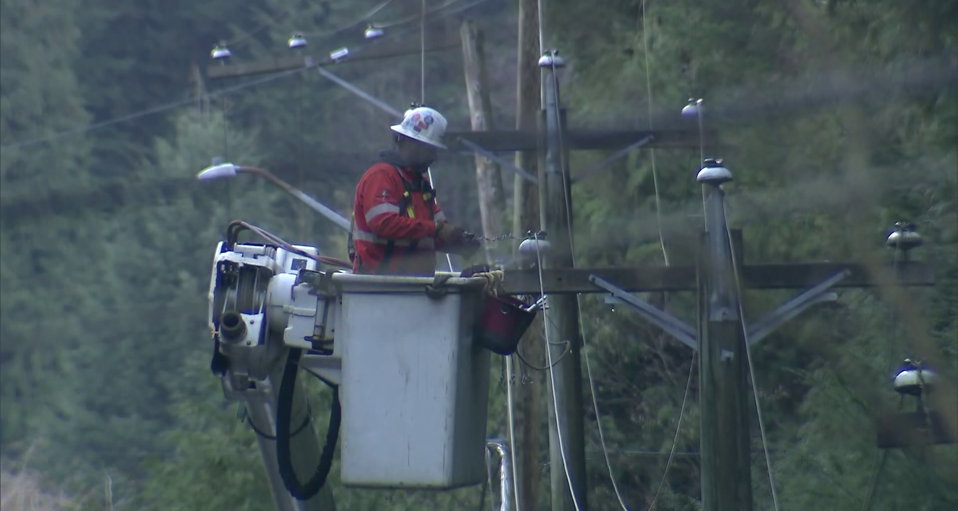 Windstorm causes massive power outages in Fraser Valley, Metro Vancouver