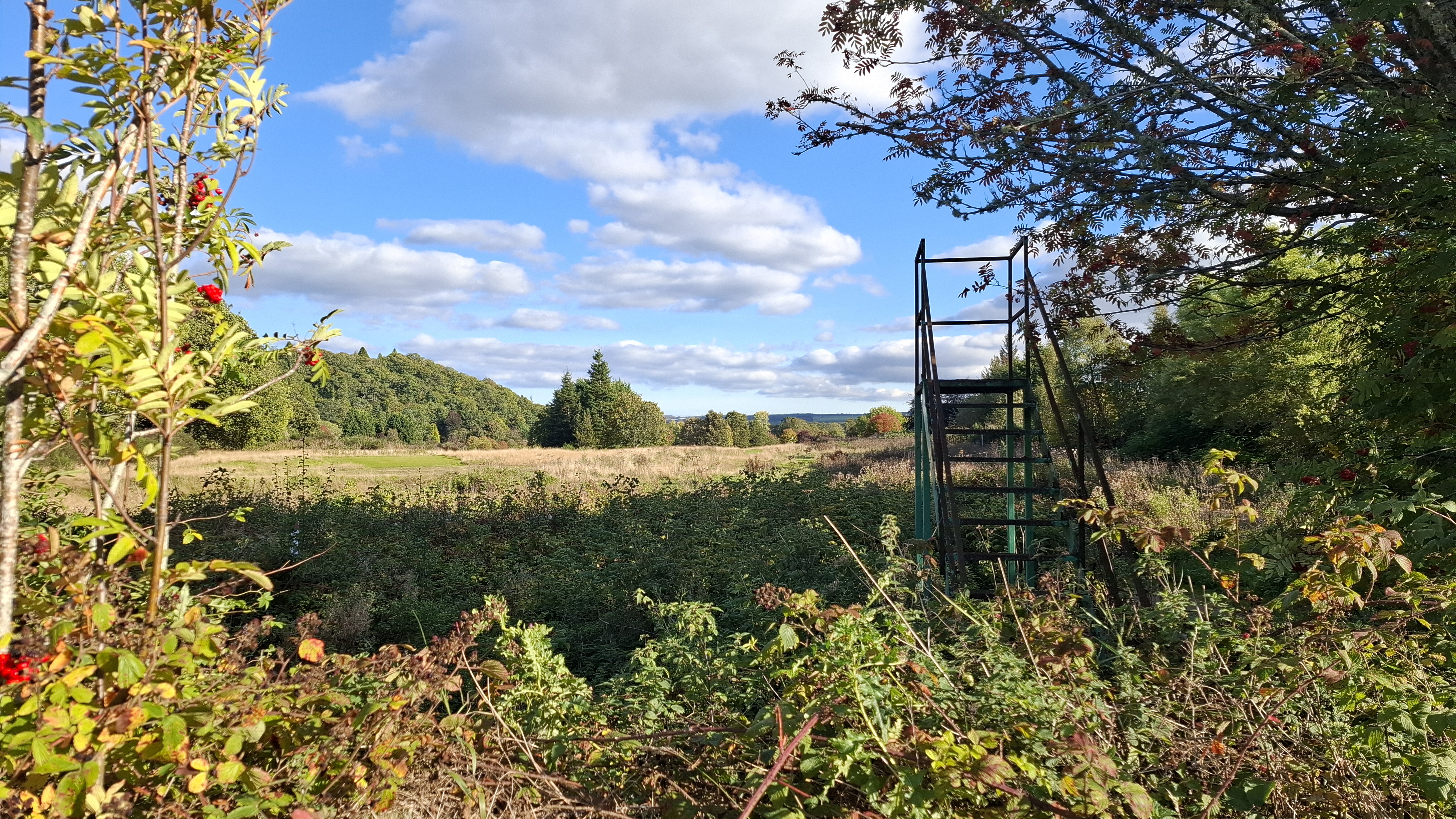 Tee viewing steps on former Torvean golf course