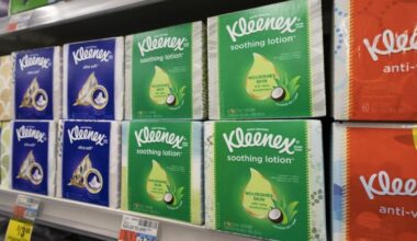 10 dividend stocks investors say can withstand the AI disruption