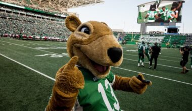 Saskatchewan Roughriders seek someone who is energetic, keen to dress like rodent