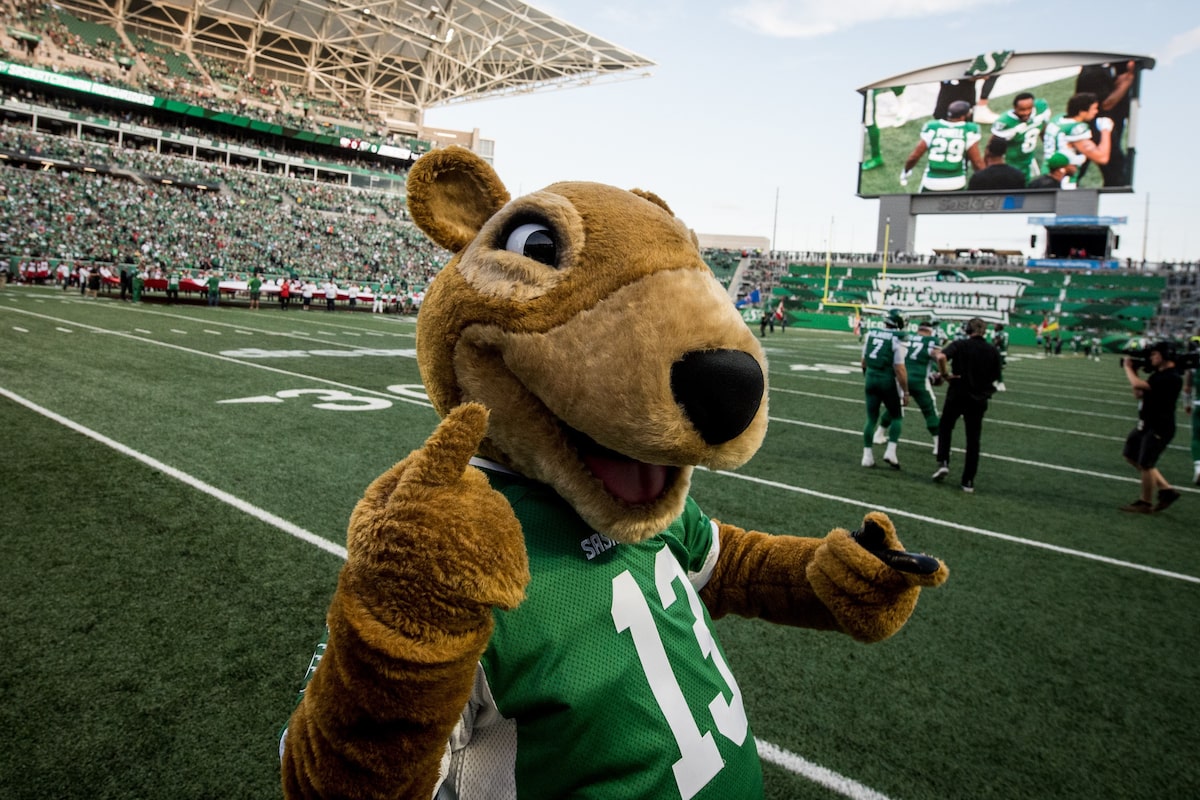 Saskatchewan Roughriders seek someone who is energetic, keen to dress like rodent
