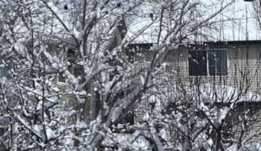 Brace for the next winter wallop, Calgary - CTV News