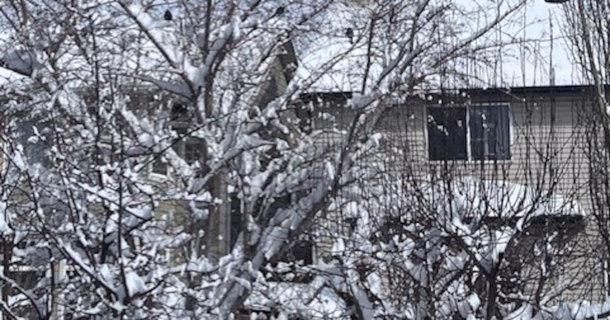 Brace for the next winter wallop, Calgary - CTV News