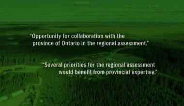 A graphic displaying two quotations, one reading "“Opportunity for collaboration with the province of Ontario in the regional assessment" and the other reading "“Several priorities for the regional assessment would benefit from provincial expertise." Both of the quotations are displayed against a green background.