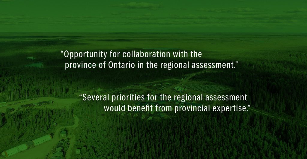 A graphic displaying two quotations, one reading "“Opportunity for collaboration with the province of Ontario in the regional assessment" and the other reading "“Several priorities for the regional assessment would benefit from provincial expertise." Both of the quotations are displayed against a green background.