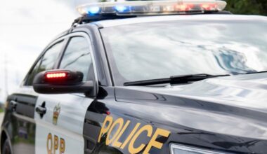 94-year-old from Ottawa killed in head-on crash