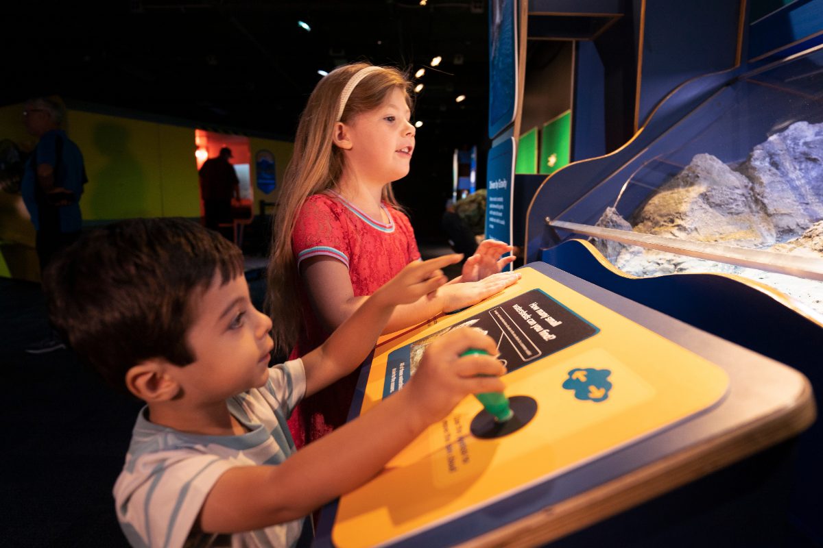 museum of surrey ocean bound