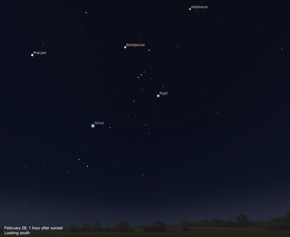 The Sky Today on Saturday, February 28: Orion stands tall