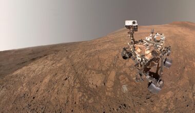 Mars 2020 Perseverance rover selfie
