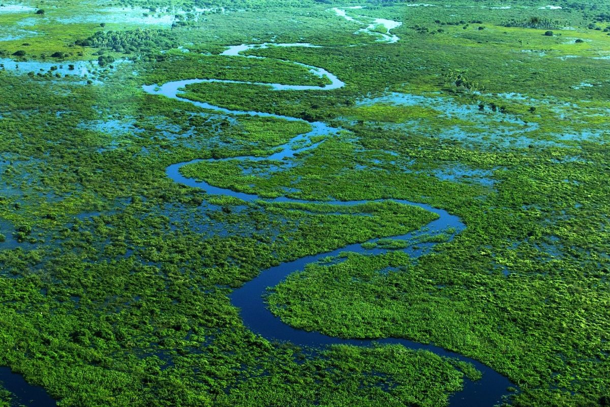 Aerial view of the wetlands of the Pantanal in Brazil