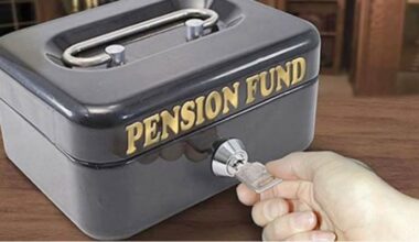 Daily Trust- Backdating gratuity to 2004: A necessary step for equity