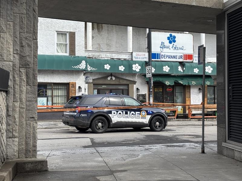 Suspect arrested in killing at Plateau Mont-Royal depanneur