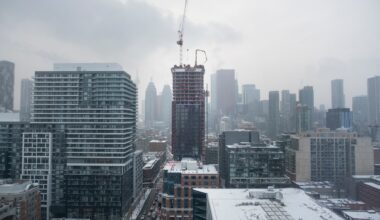 A committee to duck density and democracy