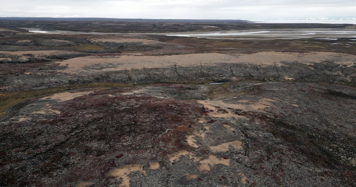 Calgary, Montreal companies play role in Greenland energy exploration