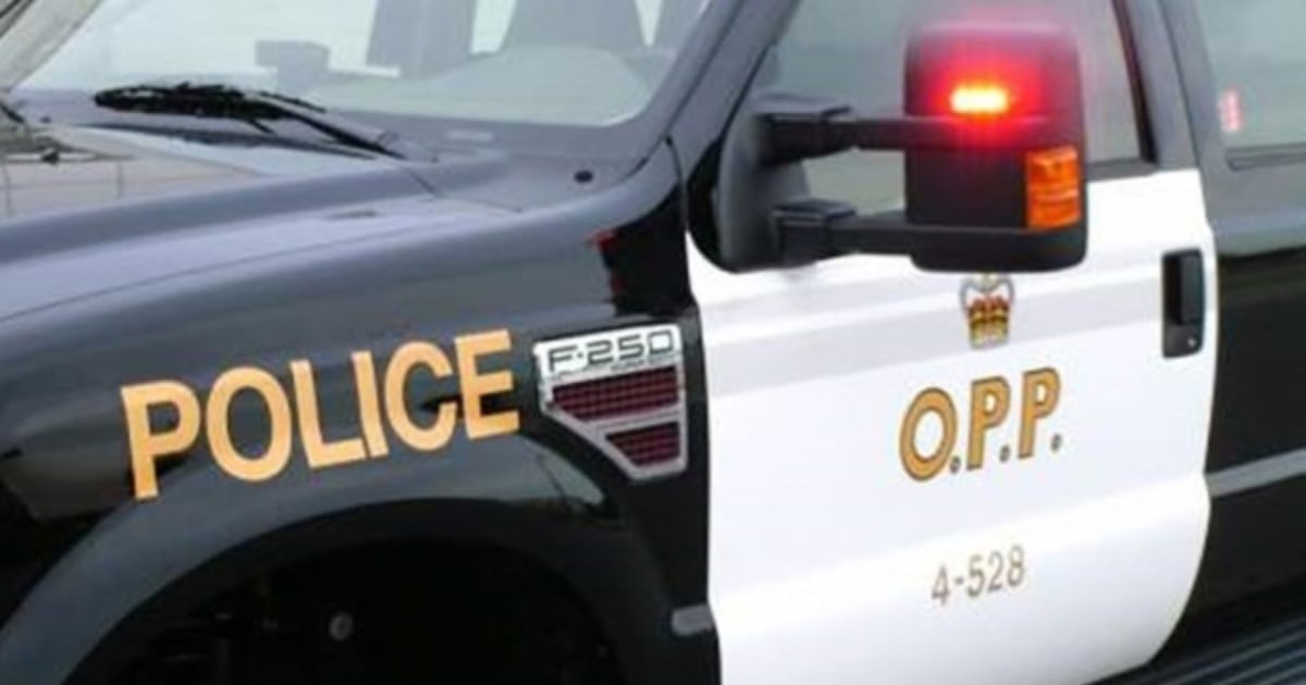 Driver killed in Hwy 7/12 crash nearSunderland