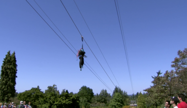 Zipline, tree canopy walk proposed for Queen Elizabeth Park