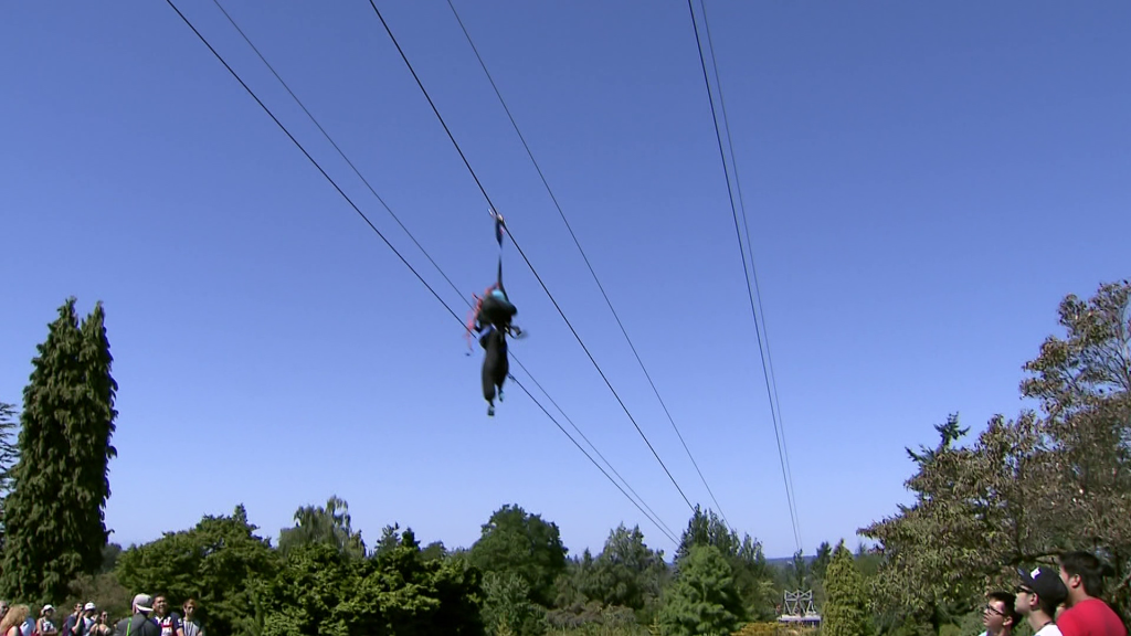 Zipline, tree canopy walk proposed for Vancouver’s Queen Elizabeth Park