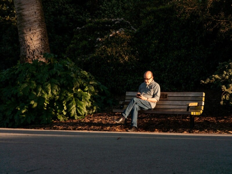 An older man sits alone on a park bench, looking at his phone. He is surrounded by greenery and dappled sunlight, with a large plant and tree nearby. The scene looks peaceful and quiet.