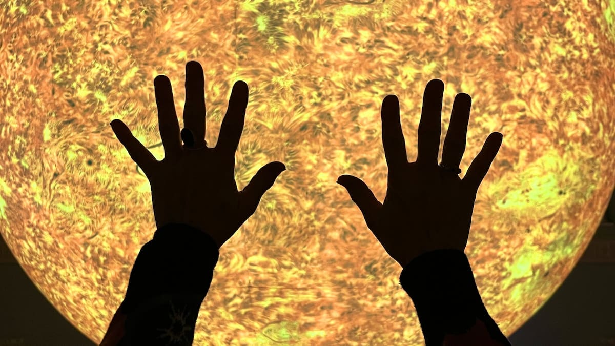 Auckland on a budget: How to have a week of entertainment for free