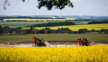 Canadian canola farmers react as China suspends some agricultural tariffs