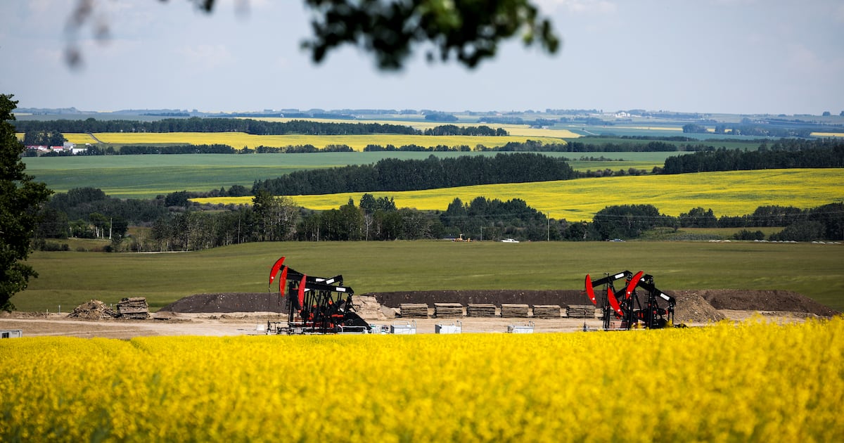 Canadian canola farmers react as China suspends some agricultural tariffs