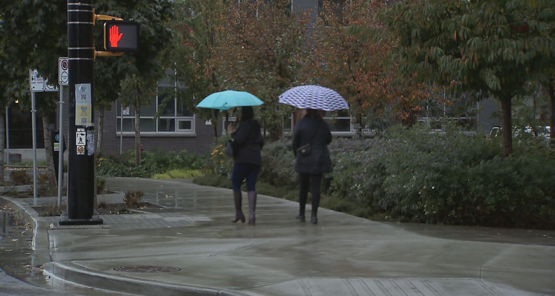 Rainfall warning in effect for Metro Vancouver