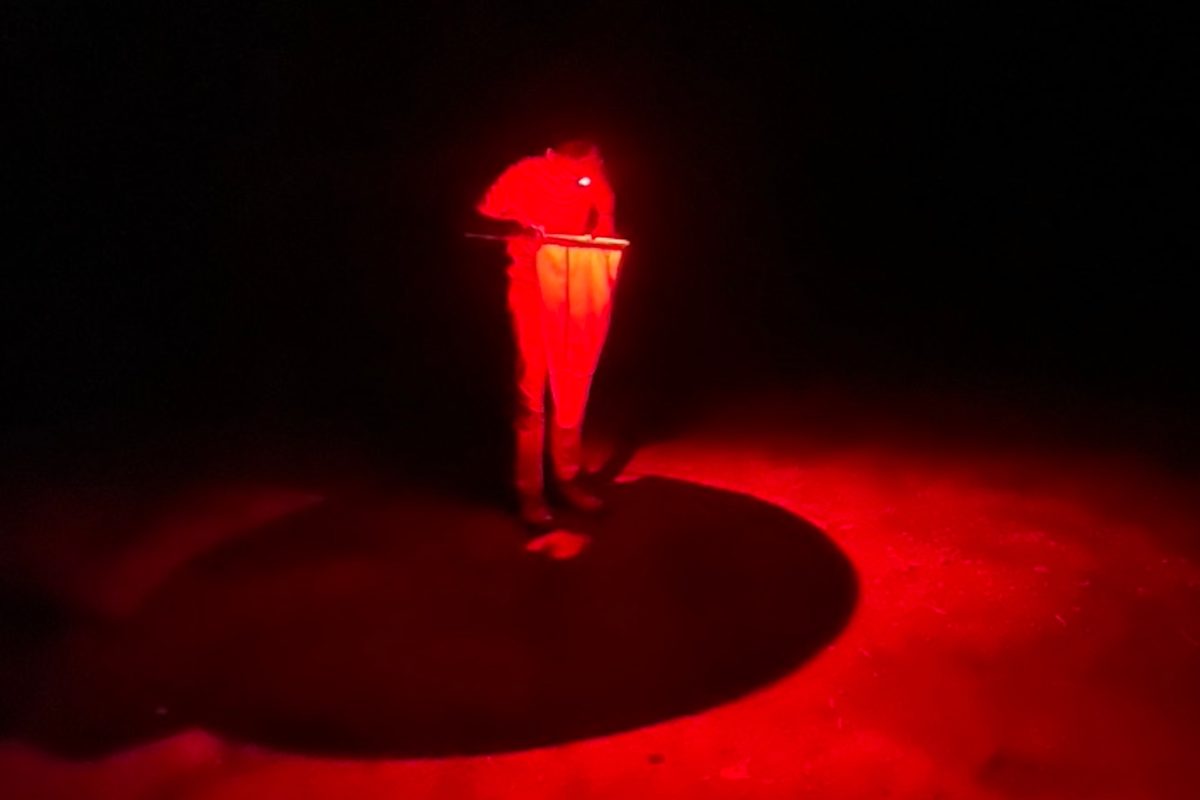 Martin hunts for fireflies in Congaree using a red light