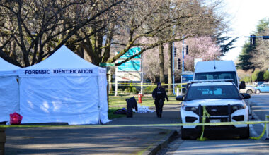 Heavy police presence observed at Richmond park