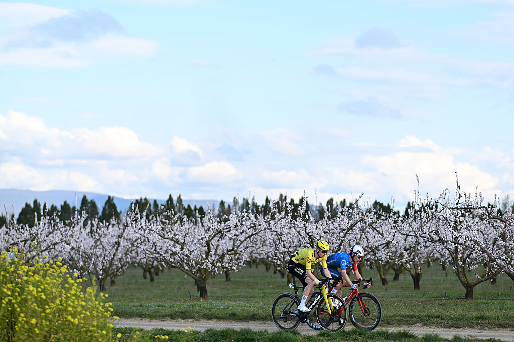 ETOILE-SUR-RHONE, FRANCE - MARCH 01: A general view of Matteo Jorgenson of United States and Team Visma | Lease a Bike and Romain Gregoire of France and Team Groupama - FDJ United compete in the breakaway during the 14th Faun Drome Classic 2026 a 189km one day race from Etoile-sur-Rhone to Etoile-sur-Rhone on March 01, 2026 in Etoile-sur-Rhone, France. (Photo by Billy Ceusters/Getty Images)