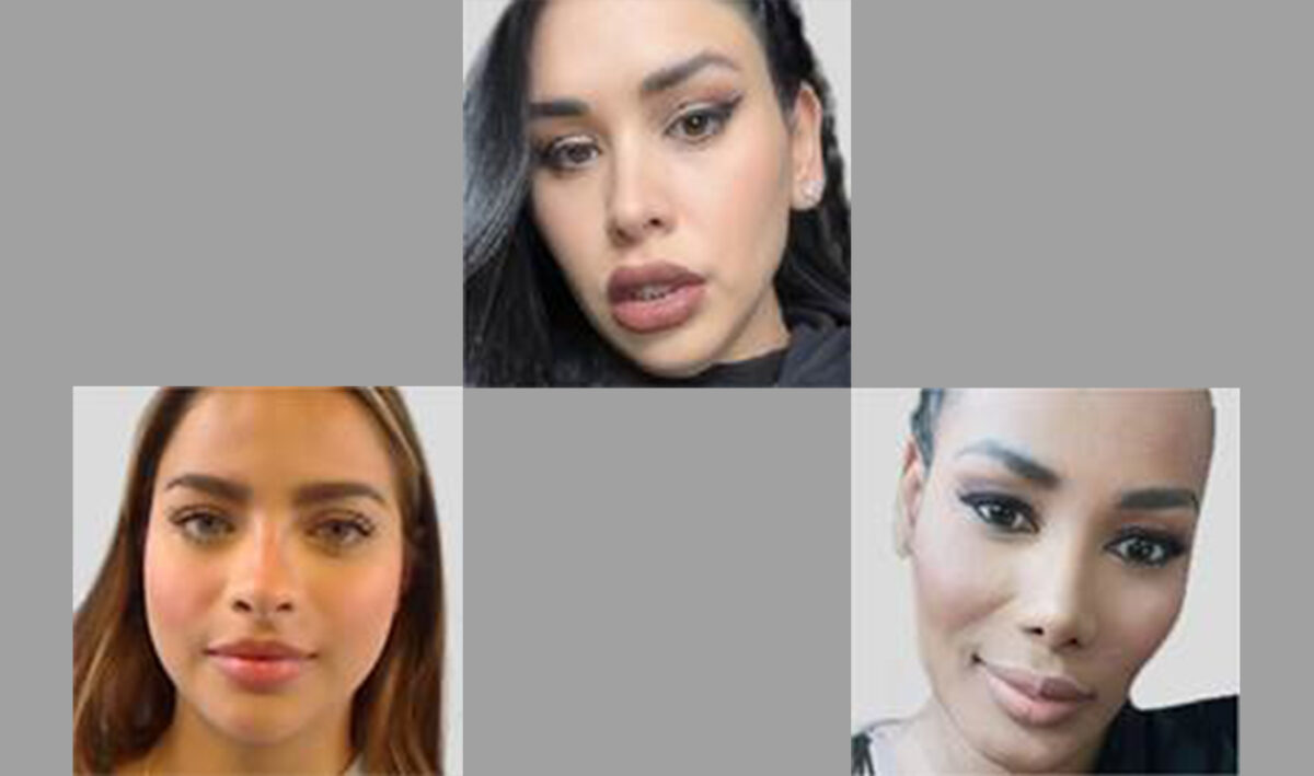 Ryan Wedding's wife Miryam Andrea Castillo Moreno (Castillo), girlfriend Daniela Alejandra Acuna Macias (Acuna) and madam Carmen Yelinet Valoyes Florez (Valoyes)