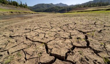 Can species evolve fast enough to survive as the planet heats up?