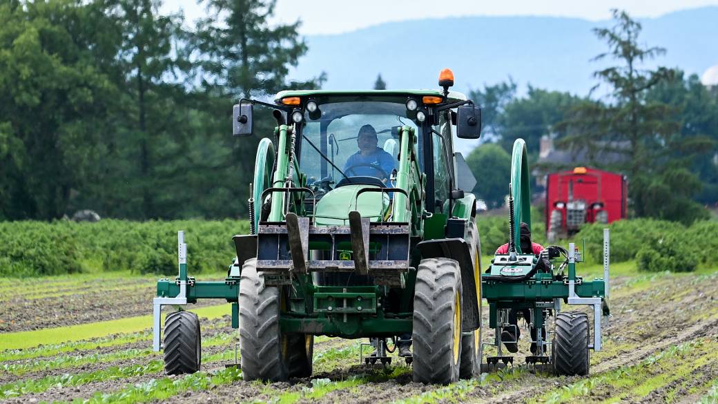 Click to play video: 'Food costs could start climbing as impact of war in Middle East begins to be felt elsewhere'