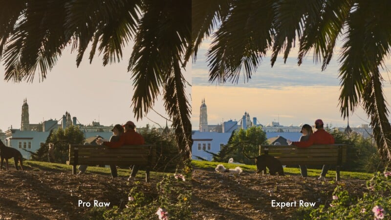 A split image comparison shows two people and two dogs on a park bench under palm trees, with buildings in the background. The left side labeled "Pro Raw" is darker; the right side labeled "Expert Raw" is brighter and clearer.