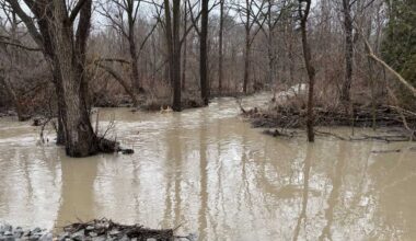 trail in mississauga flooded due to rain.