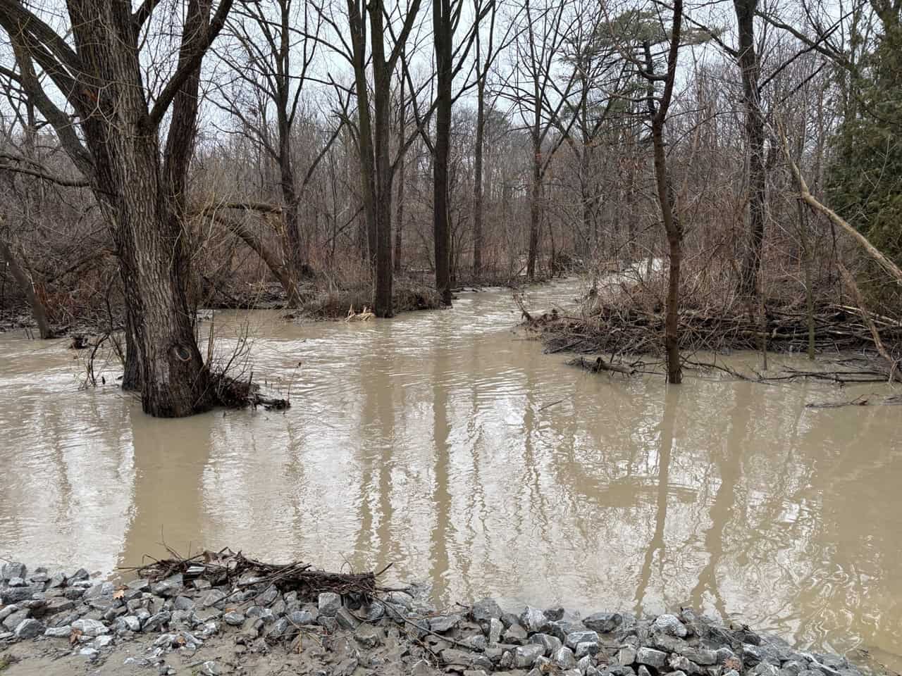 trail in mississauga flooded due to rain.