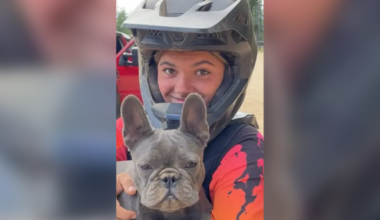 Piper James’ official cause of death was drowning as a result of a dingo attack