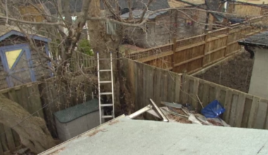 Oakwood Village homeowner alleges developers tried to cut down a tree on his property without permission