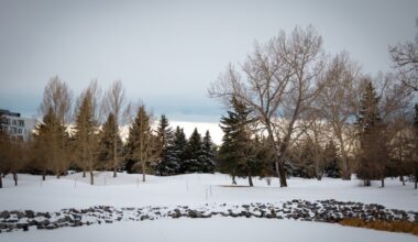 New satellite study shows Calgary’s uneven urban greenery