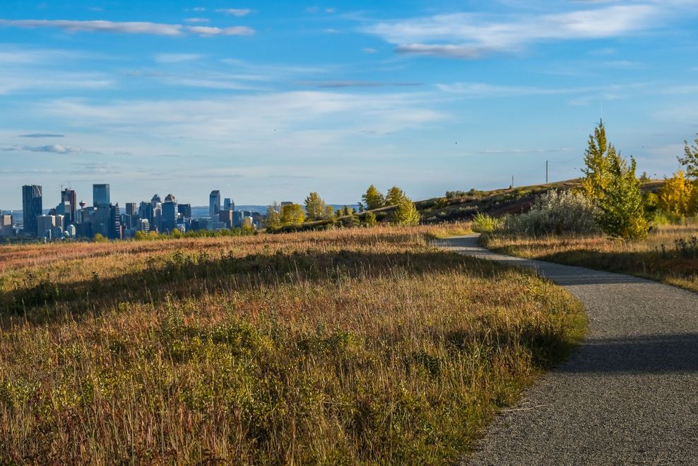 things to do calgary